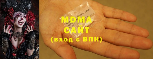 шишки Бородино