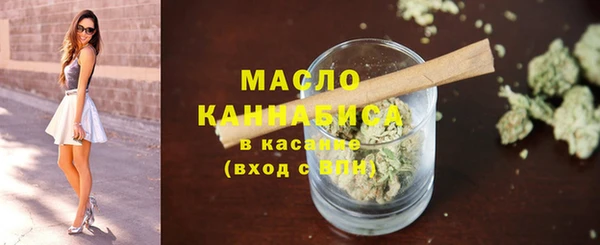 гидра Богородицк