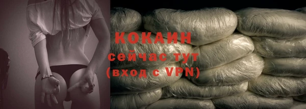 тгк Богданович