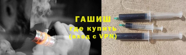 гидра Богородицк
