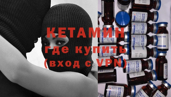 шишки Бородино