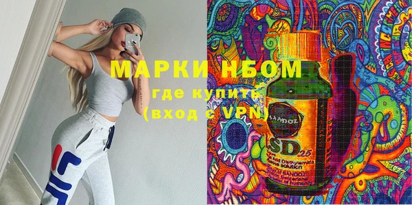 гидра Богородицк
