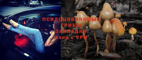 гидра Богородицк