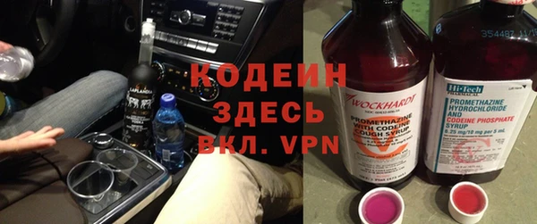 шишки Бородино