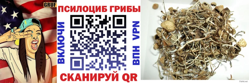 Галлюциногенные грибы Psilocybine cubensis  даркнет сайт  МЕГА ONION  Гатчина 